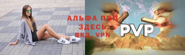 стафф Алексин