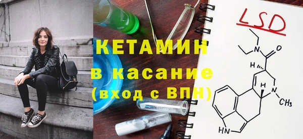 стафф Алексин