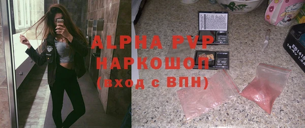 стафф Алексин