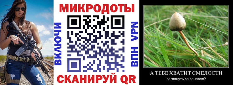 где продают Свирск Галлюциногенные грибы мухоморы